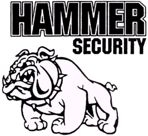 Hammer Security Consulting