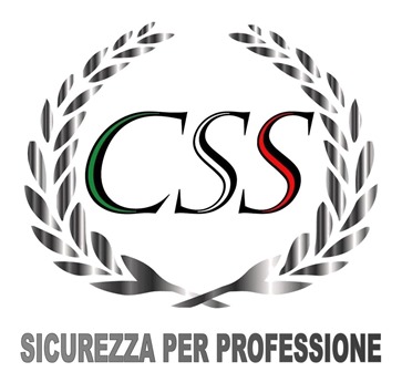 CSS S.C.Group